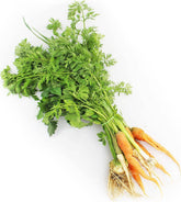 Bunch of fresh organic vegetables (Polish) (approx. 600 g)
